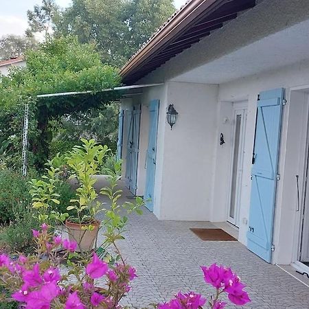 Villa De Charme Avec Piscine Saint-Jory Eksteriør bilde